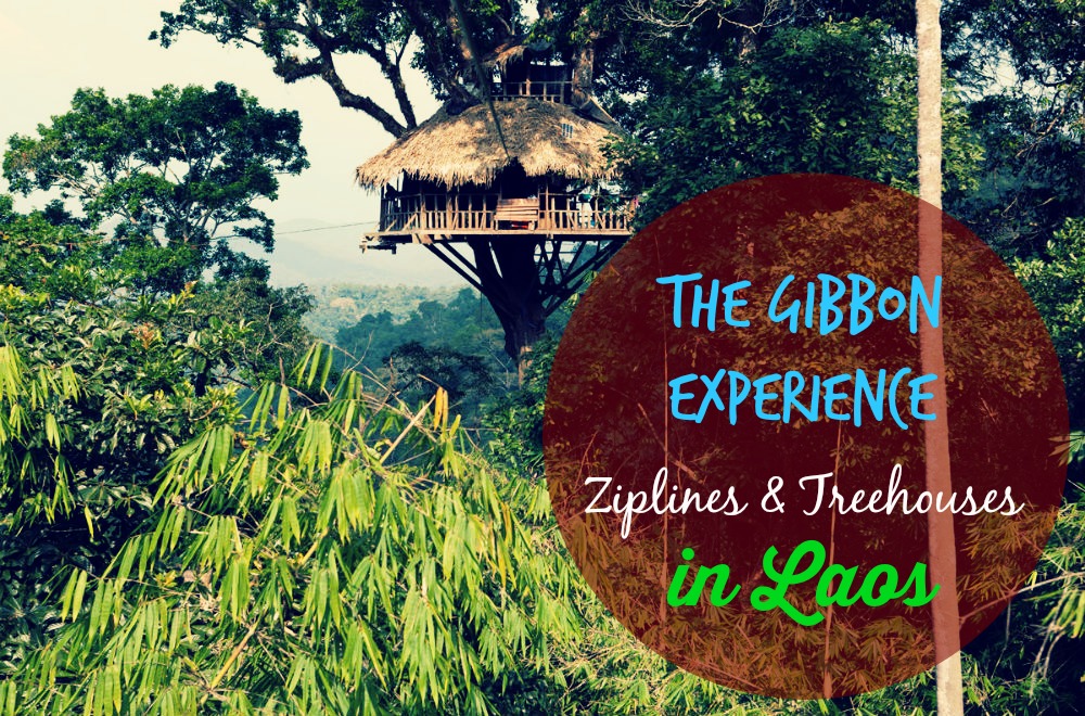 Gibbon experience Laos
