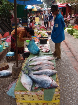 luang prabang morning market