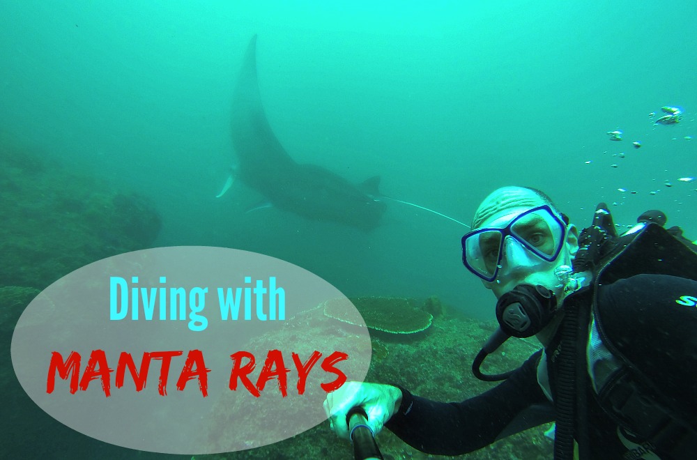 Nusa Lembongan Diving with Manta Rays